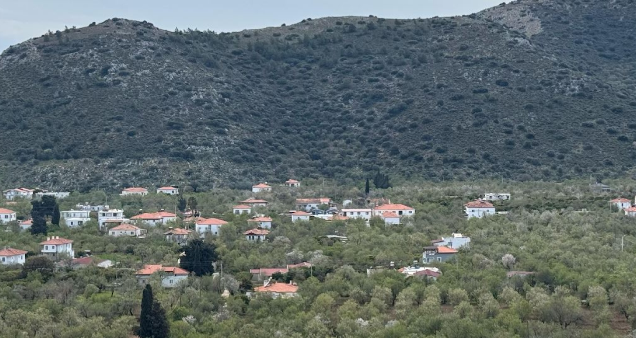 Datçalıların geçim kaynağı oldu! Kışın hasat veriyor, kilosu 600 lira